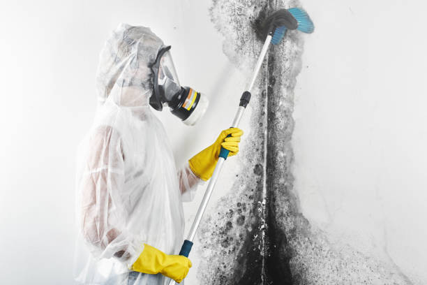 Best Mold Remediation for Healthcare Facilities  in Augusta, WI