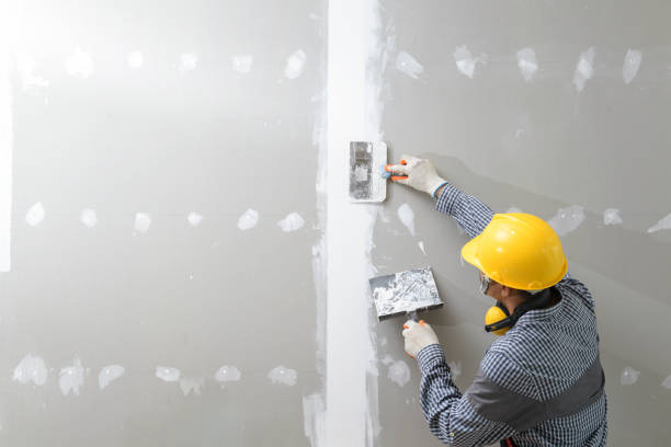 Best Emergency Mold Remediation  in Augusta, WI
