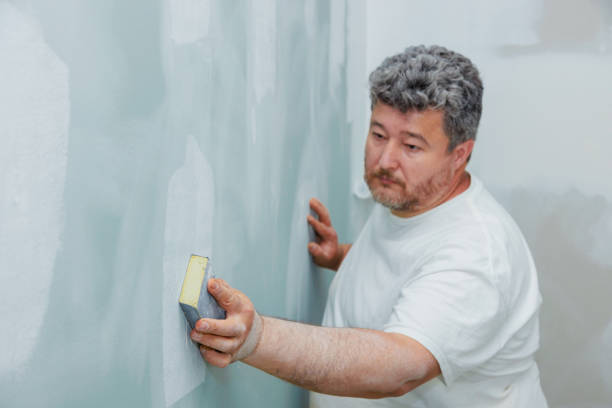 Environmental Consulting for Mold Prevention in Augusta, WI