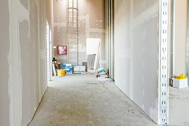Best Attic Mold Removal  in Augusta, WI