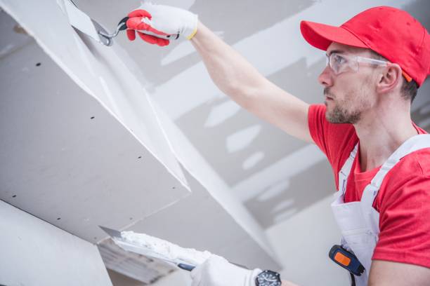 Best Mold Odor Removal Services  in Augusta, WI