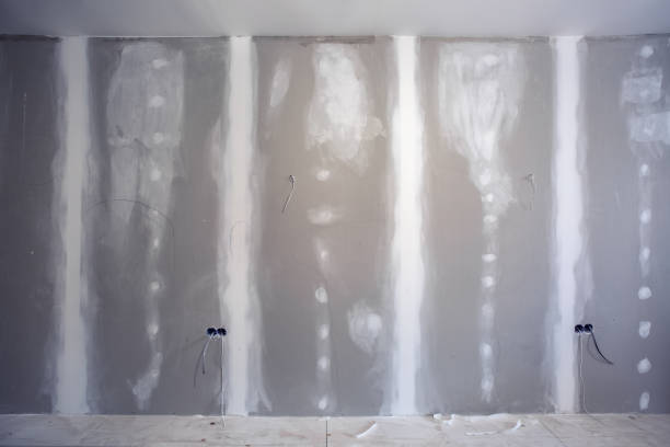 Best Post-Construction Mold Inspection  in Augusta, WI